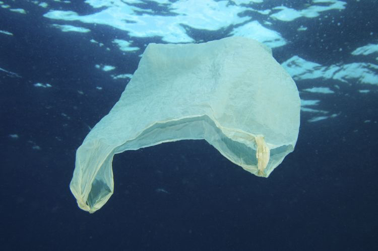 89% of plastic litter found on the ocean floor are single-use items like plastic bags. Photo: iStock.
