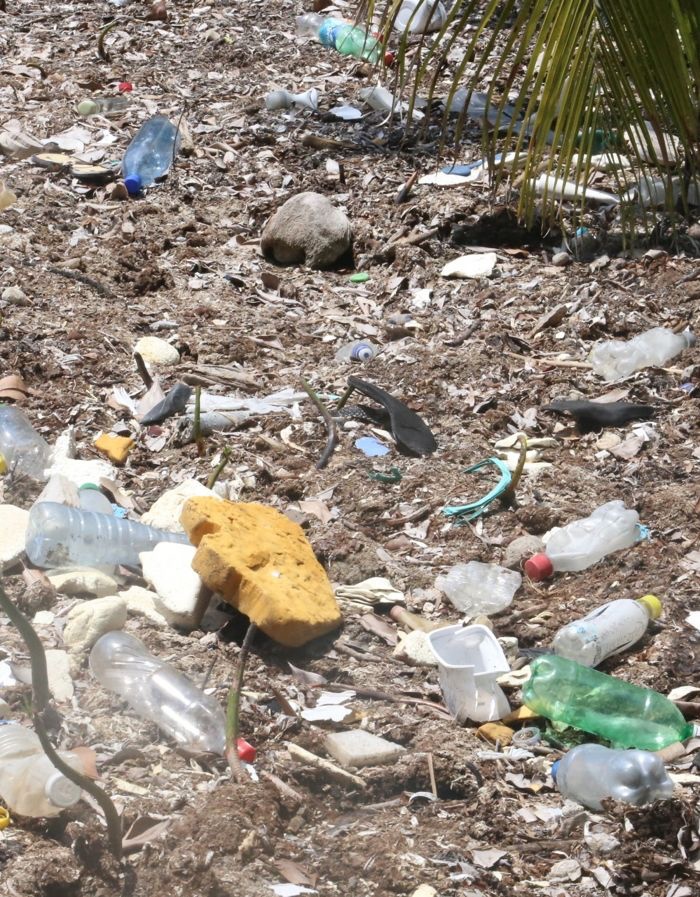 Garbage left by visitors at the Caye Caulker Forest Reserve often finds its way to the ocean. Photo: UNDP.